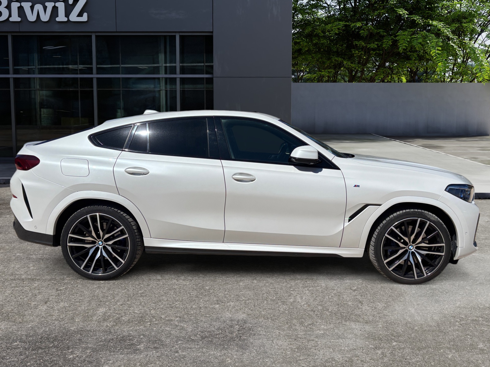 Bmw X6 5