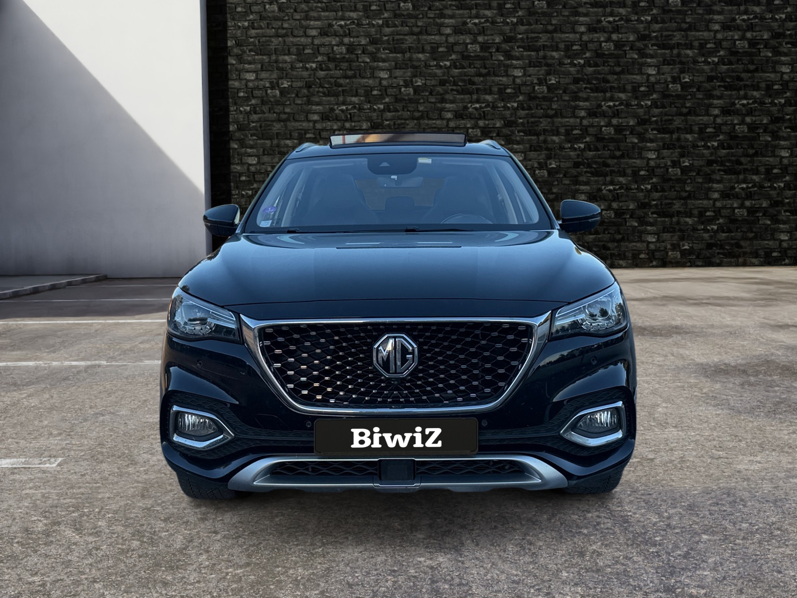 Mg Ehs 7