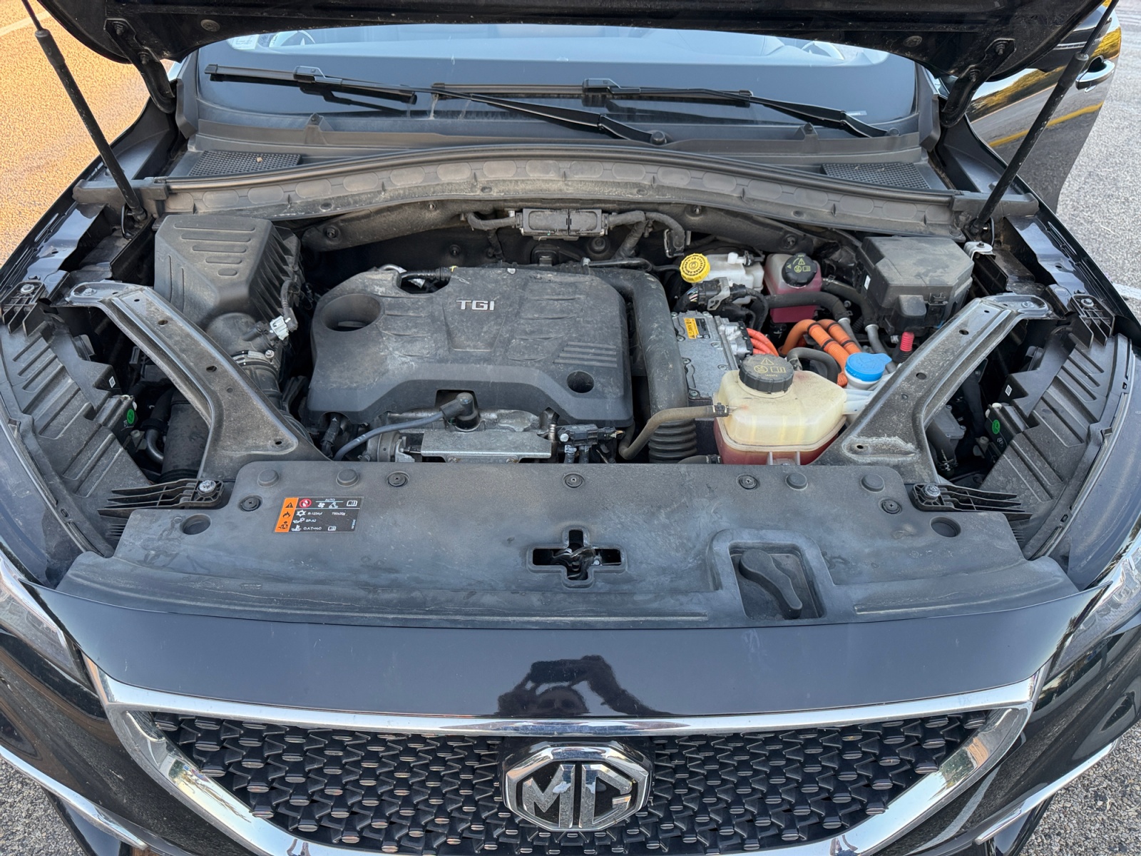 Mg Ehs 30