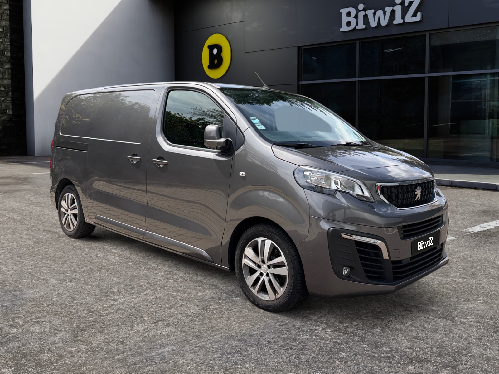 Peugeot Expert Vu 6