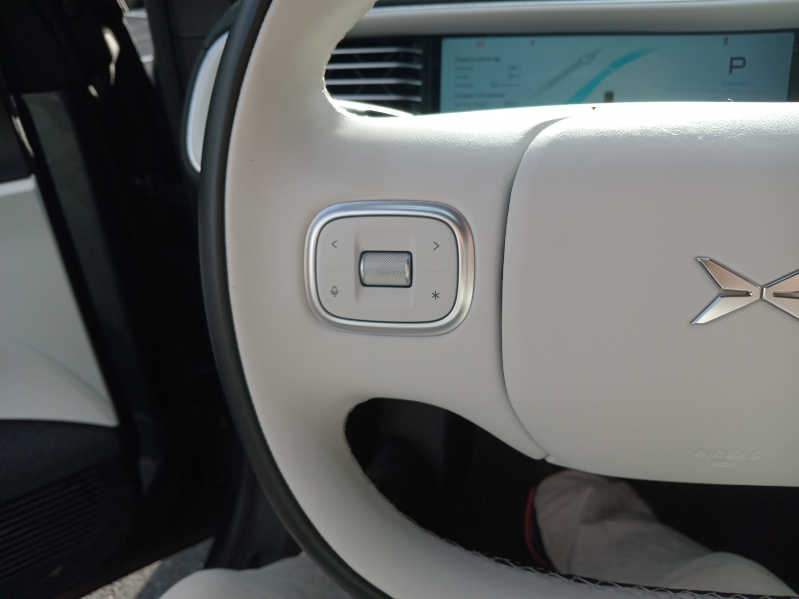 Xpeng G6 20