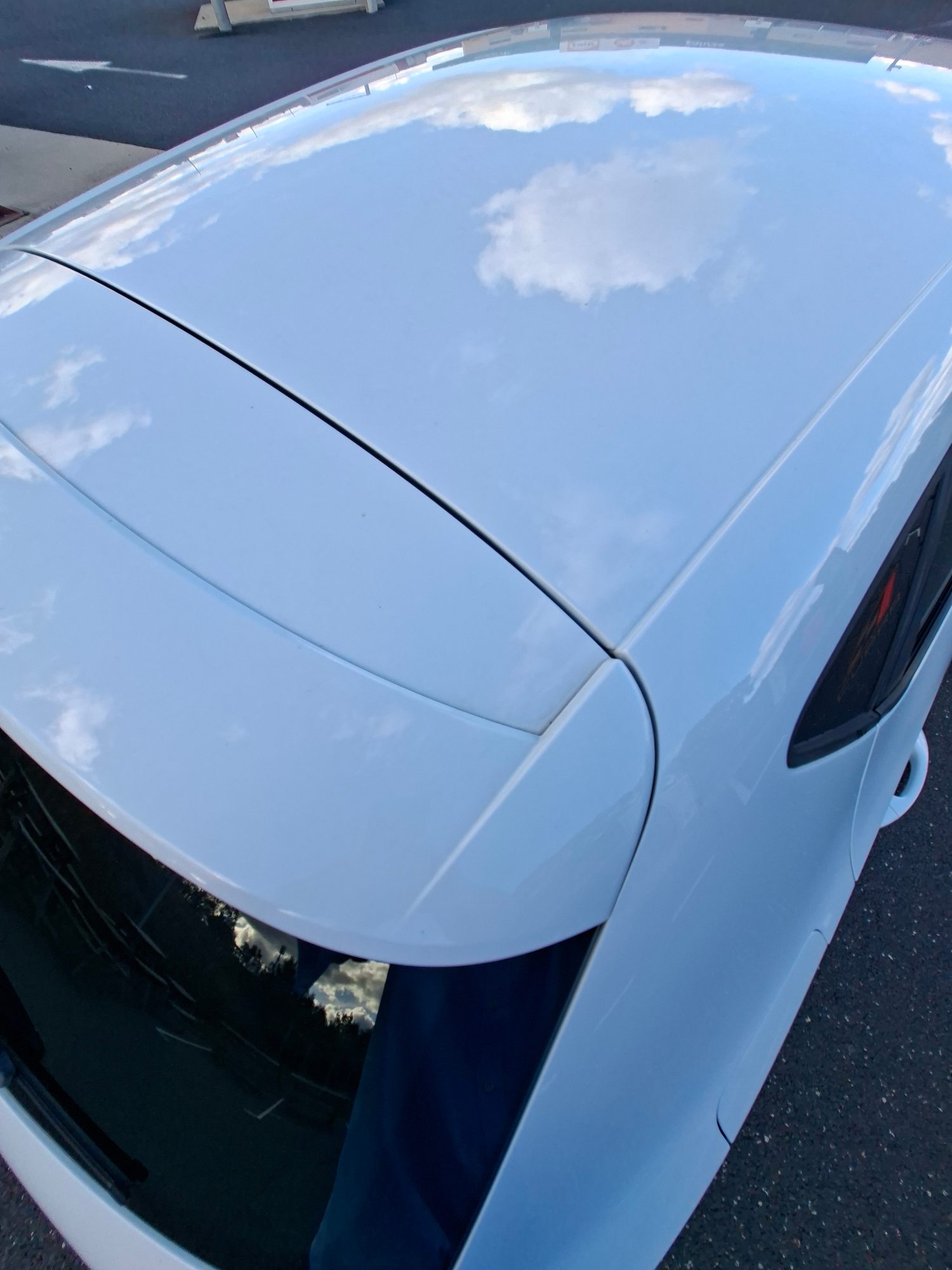 Seat Leon 49