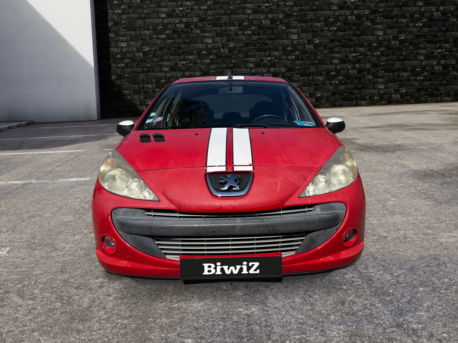 Peugeot 206 Plus 7