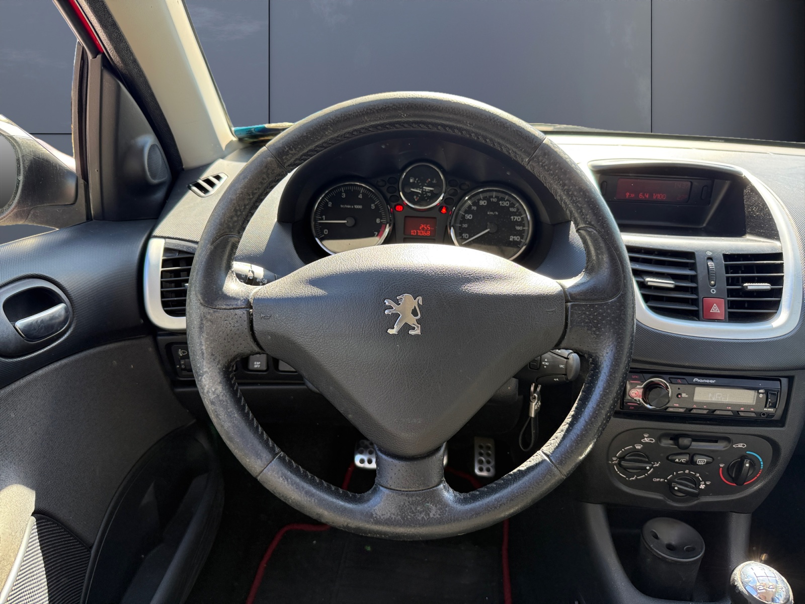 Peugeot 206 Plus 15