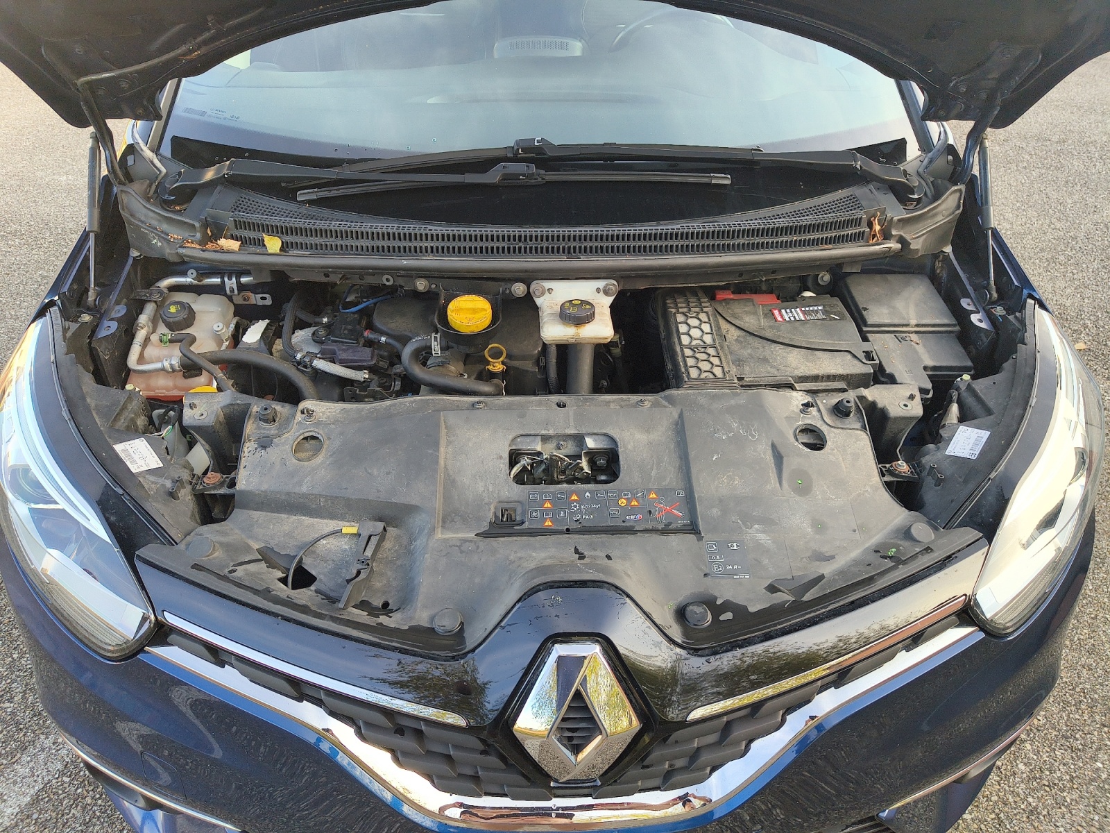 Renault Scenic 20