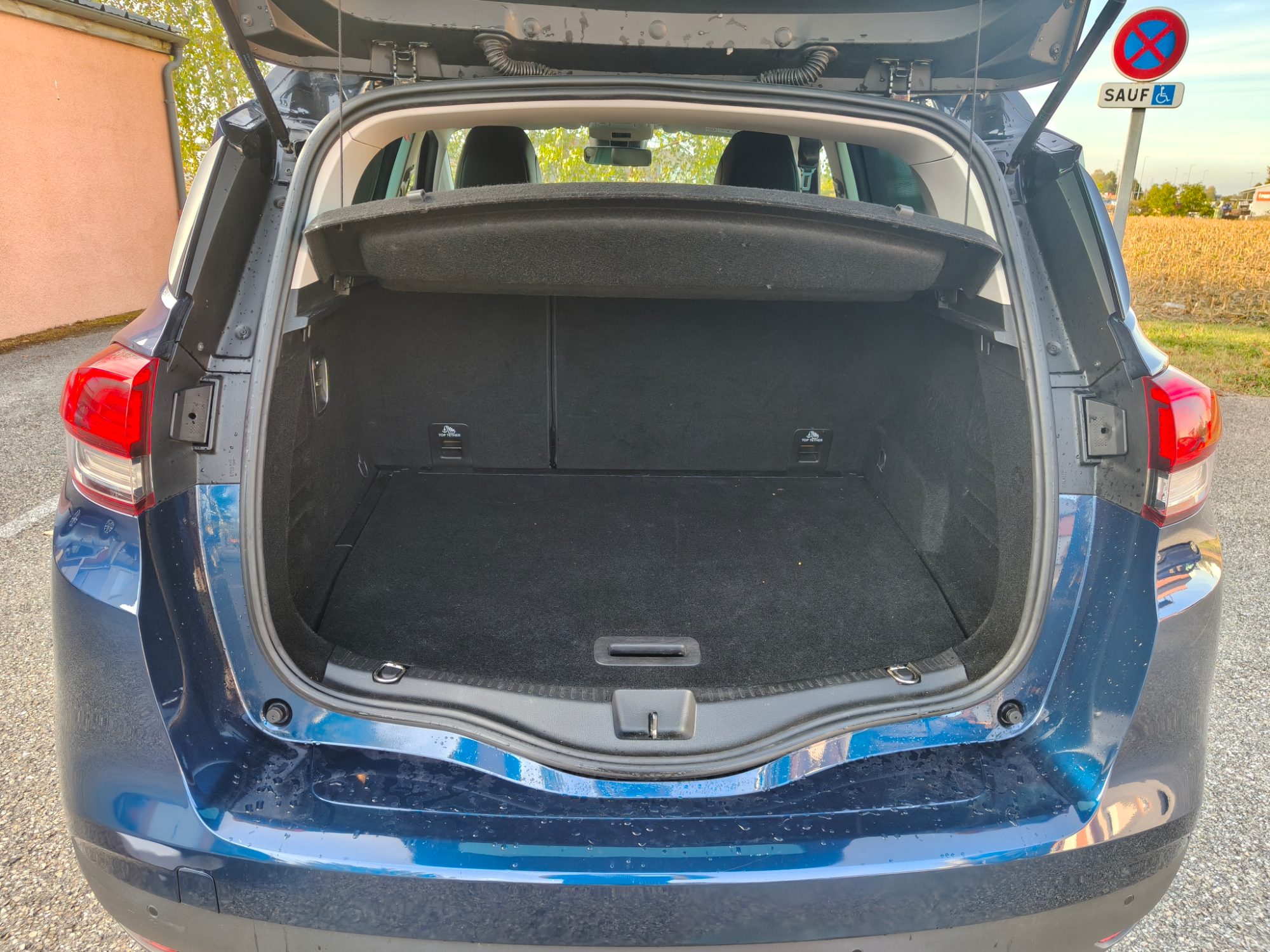 Renault Scenic 22