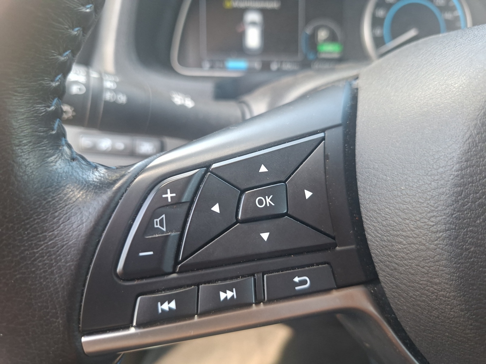 Nissan Leaf 20