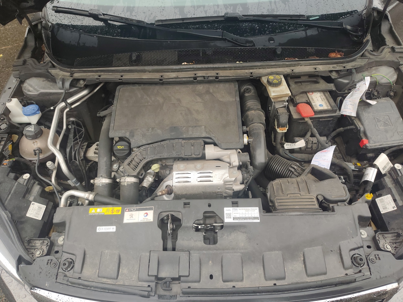 Peugeot 308 23