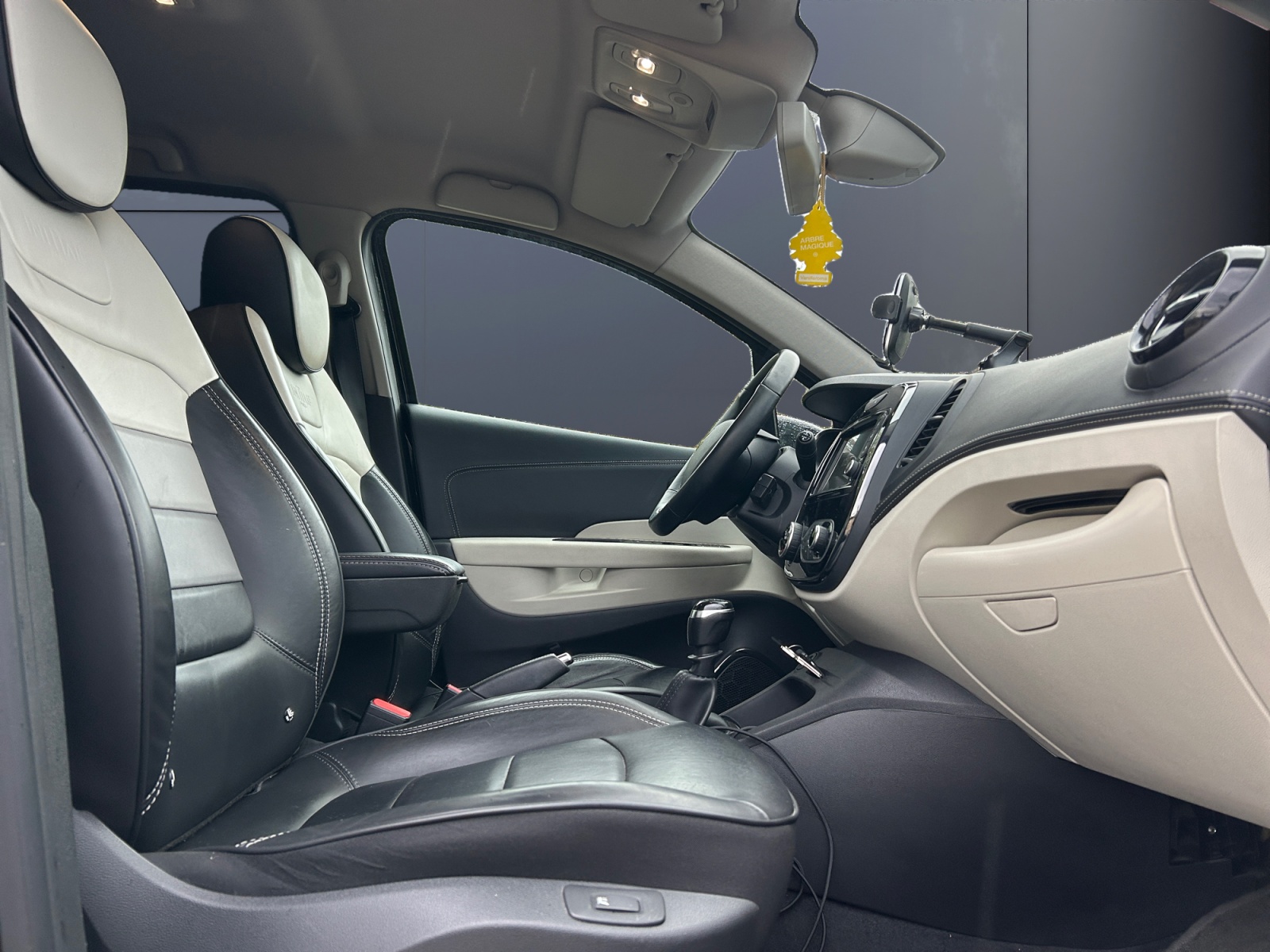 Renault Captur 13