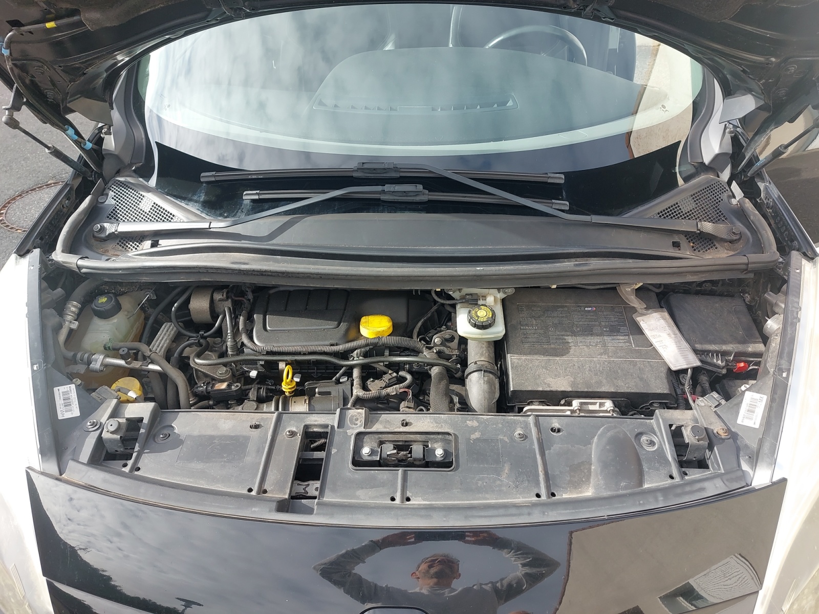 Renault Scenic 36