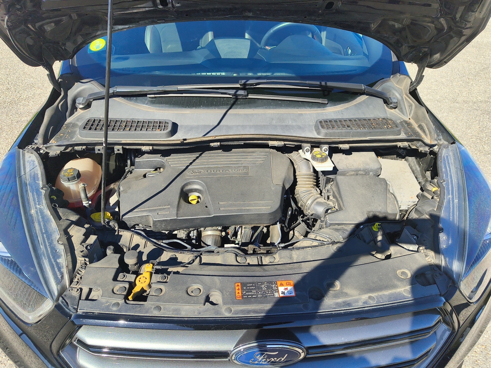 Ford Kuga 22