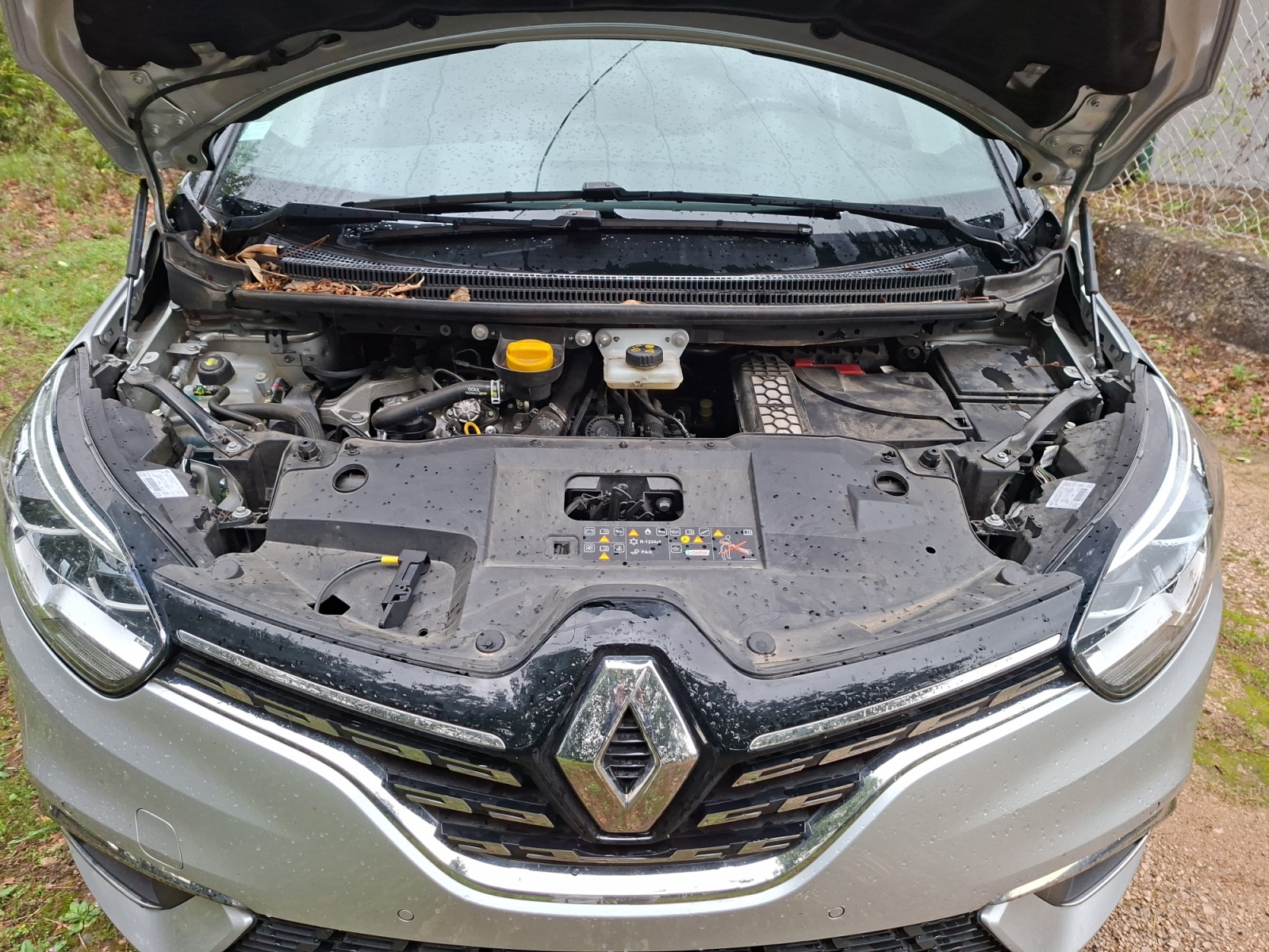 Renault Scenic 42