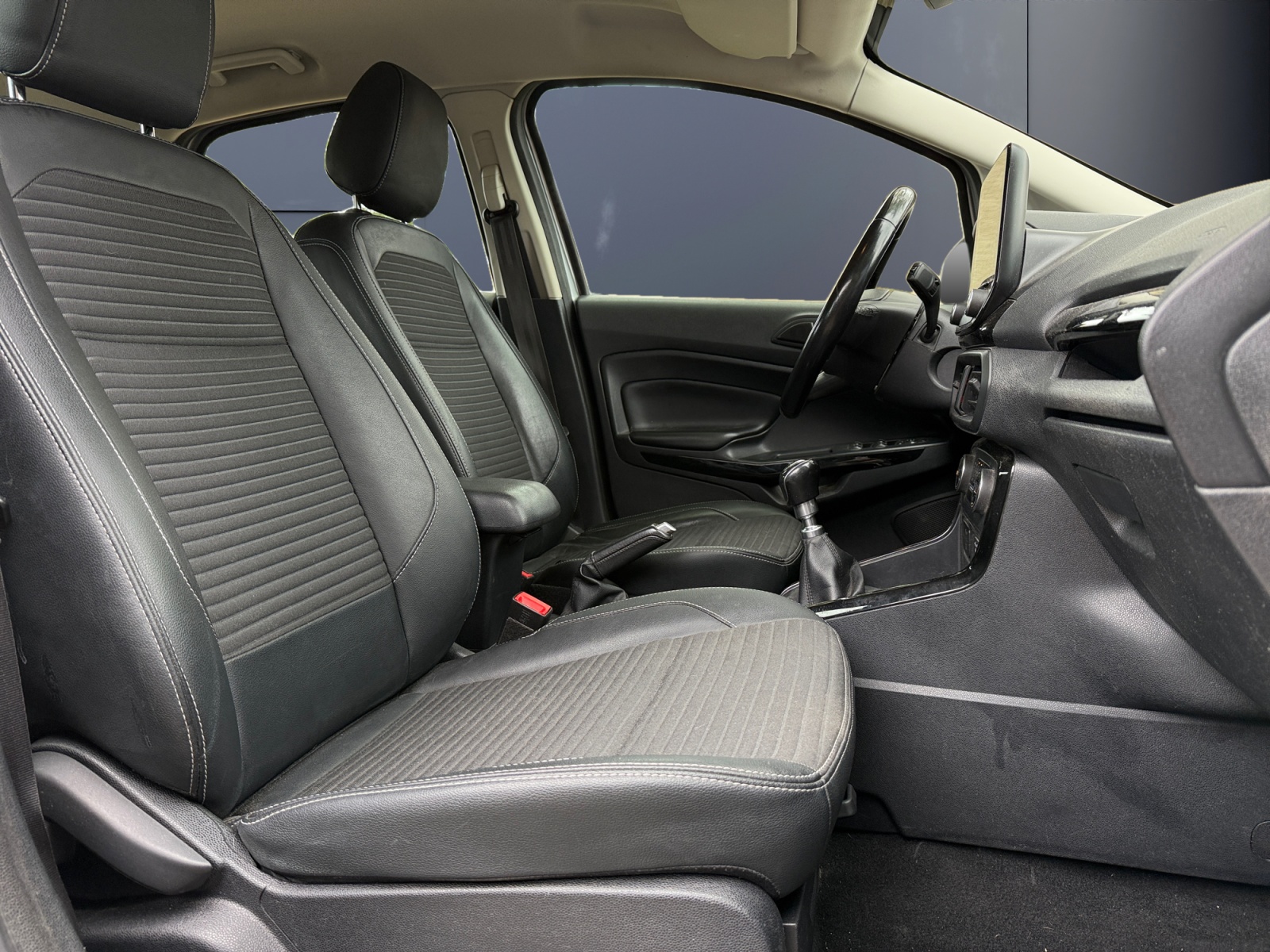 Ford Ecosport 11