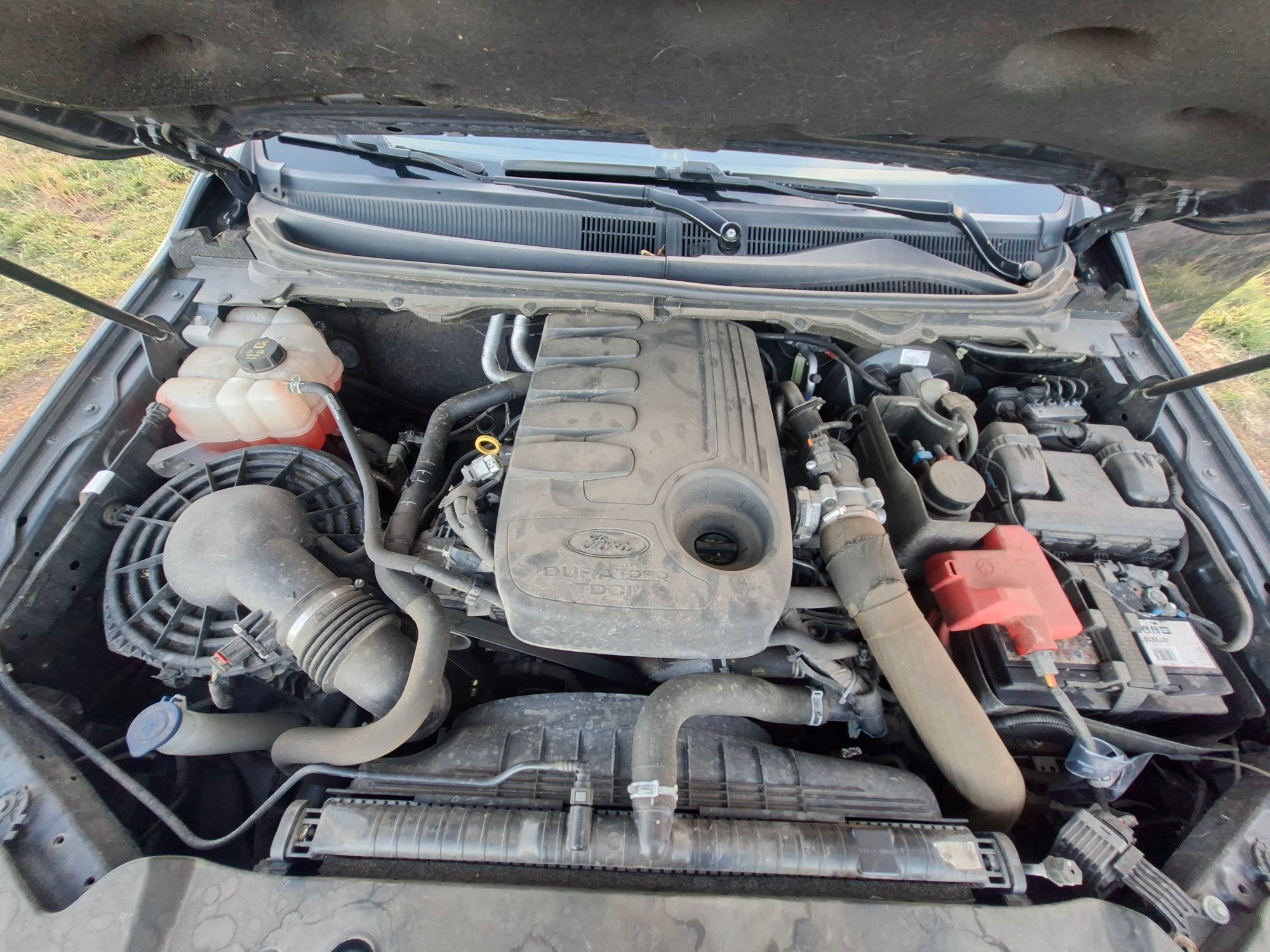 Ford Ranger 48