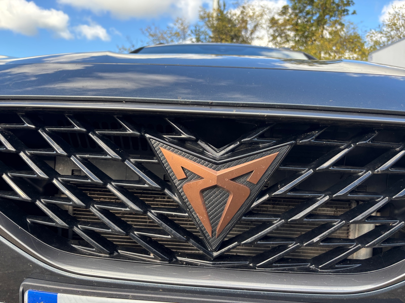 Cupra Formentor 30