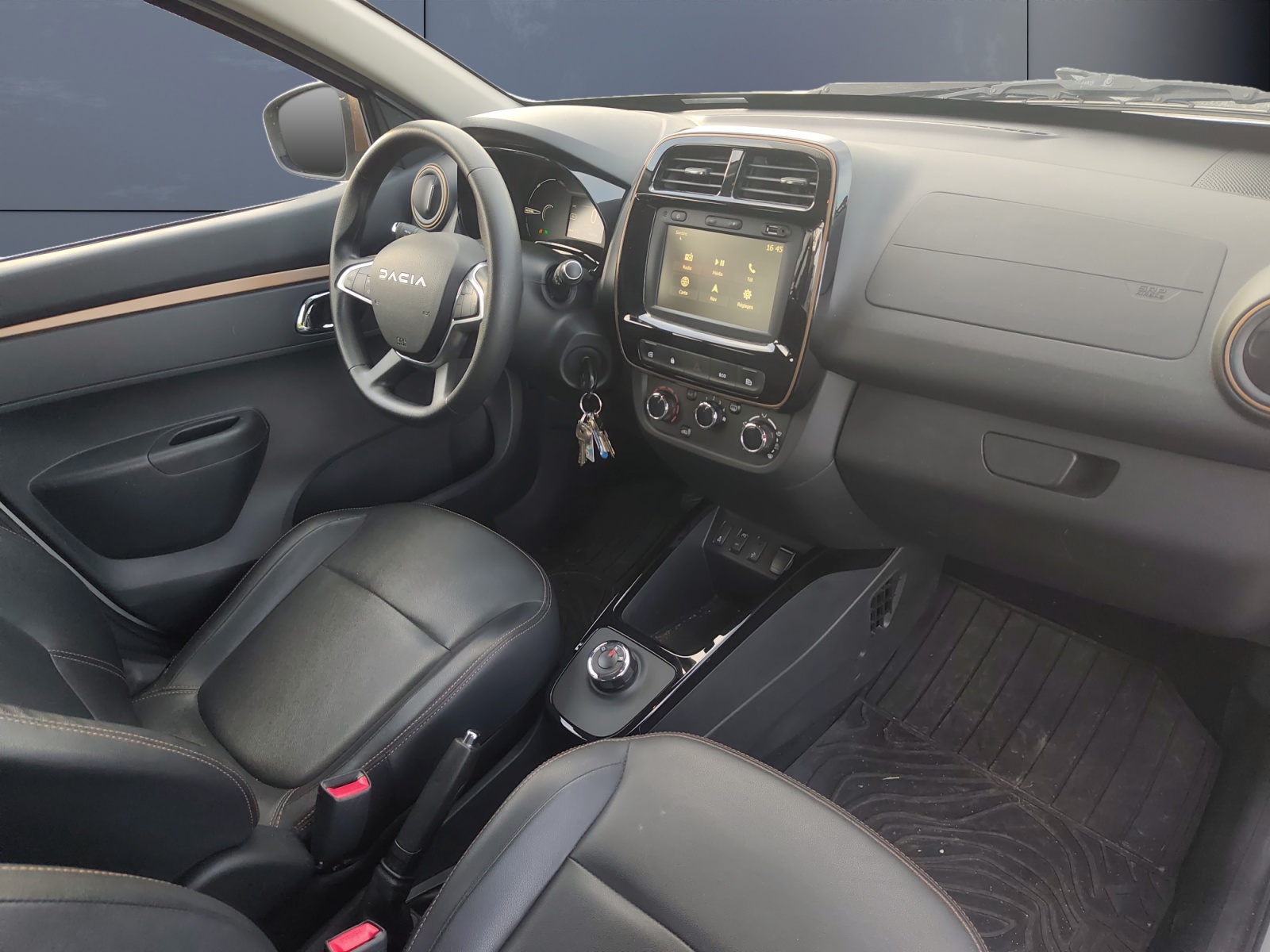 Dacia Spring 12