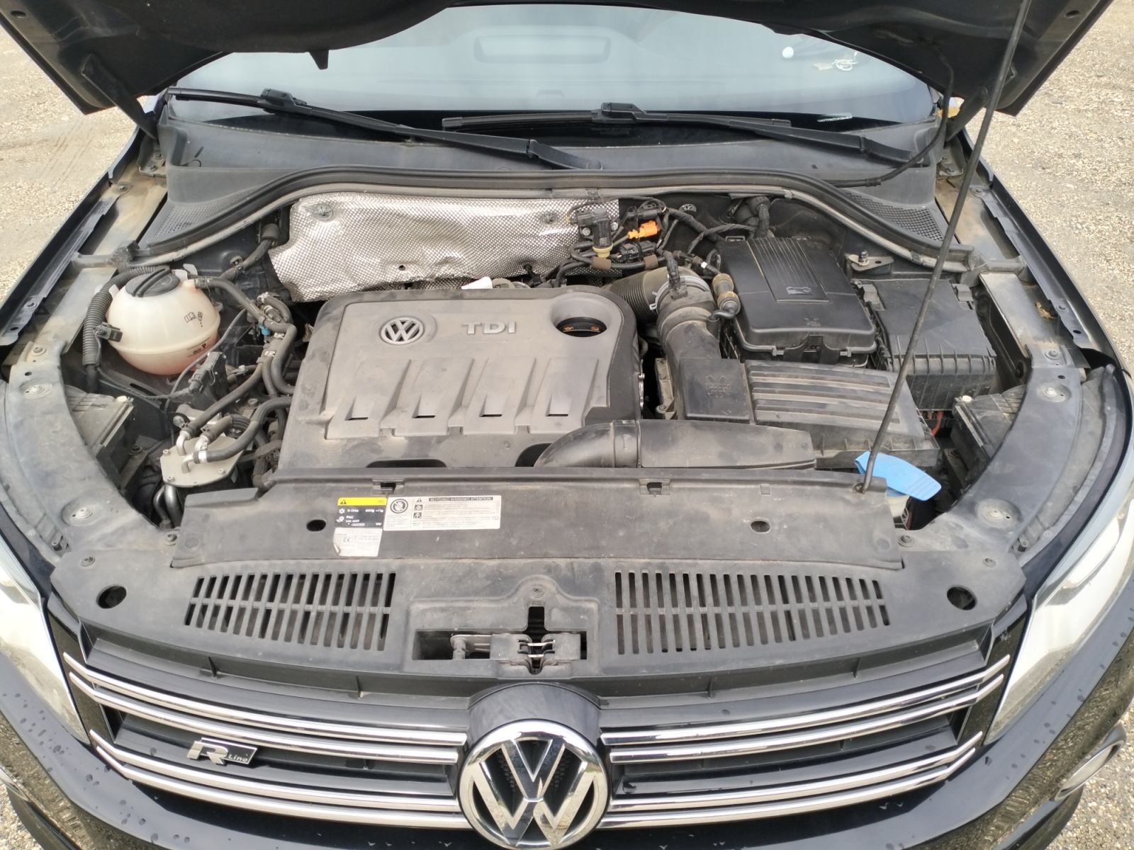 Volkswagen Tiguan 43