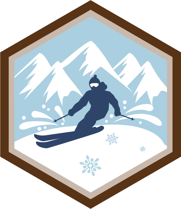 Desportos de Inverno