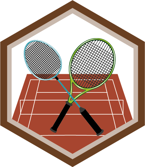Desportos de Raquete