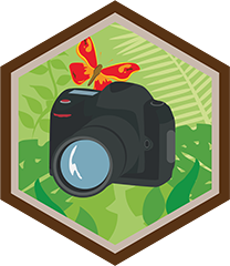 Fotógrafo Naturalista