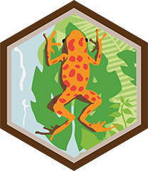 Herpetólogo