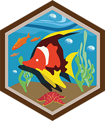 Oceanógrafo