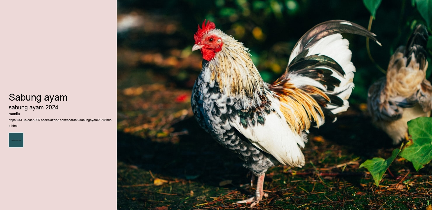 cara bermain sabung ayam online biar menang