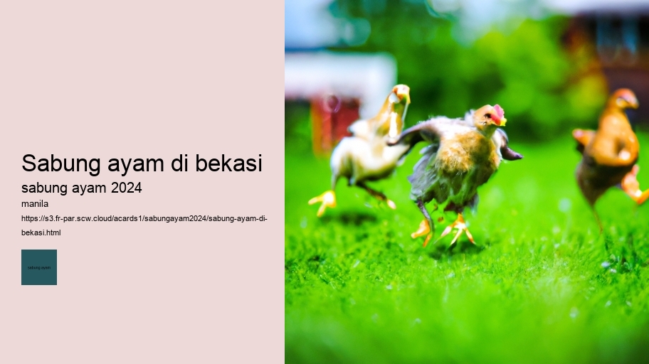 sabung ayam di bekasi