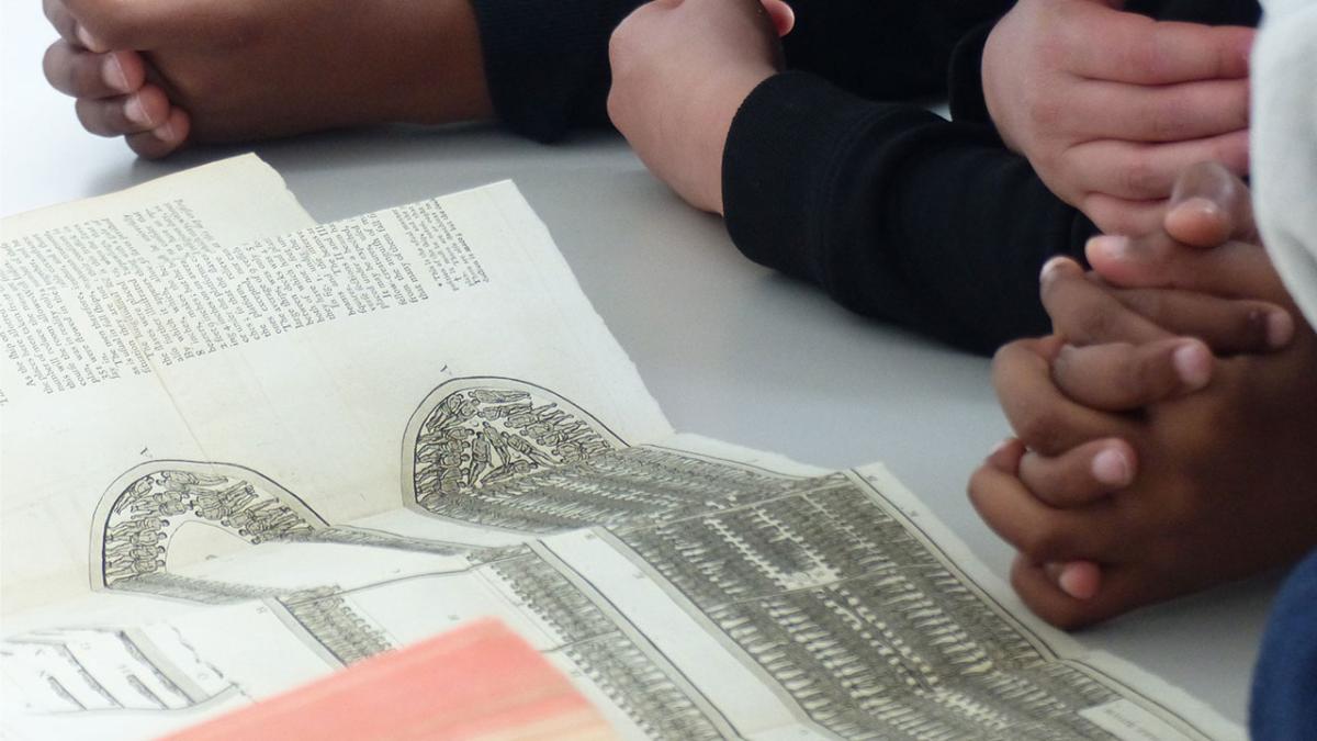 À partir de l’observation de journaux de bord de navires du XVIIIe siècle, les élèves repèrent les traces des campagnes de traite négrière