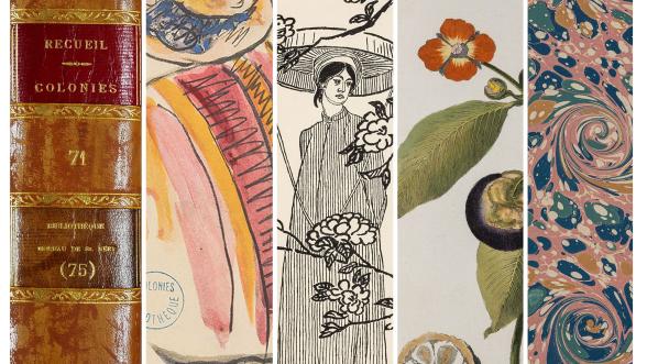 Plusieurs détails de planches illustrées et motifs d'ouvrages conservés à la bibliothèque des ANOM