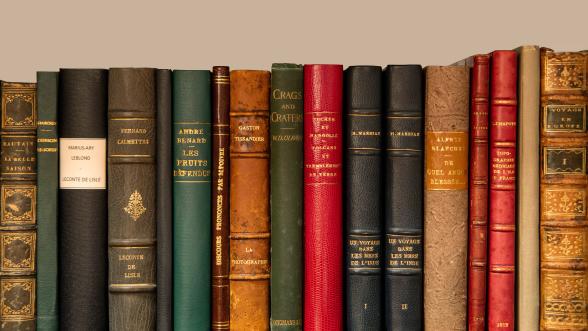 Photographie en couleur de livres reliés en cuir sur une étagère.
