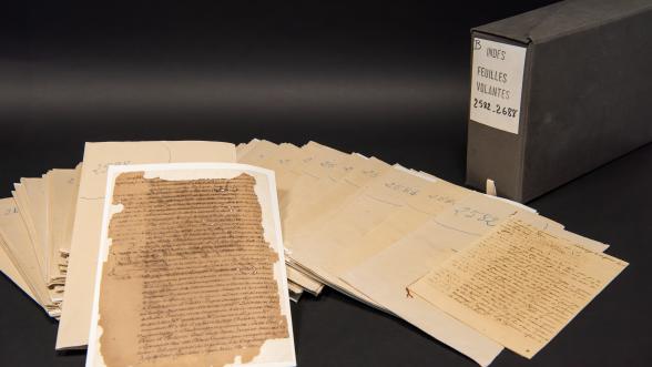 Photographie représentant le contenu d’un carton après sa préparation à la numérisation 