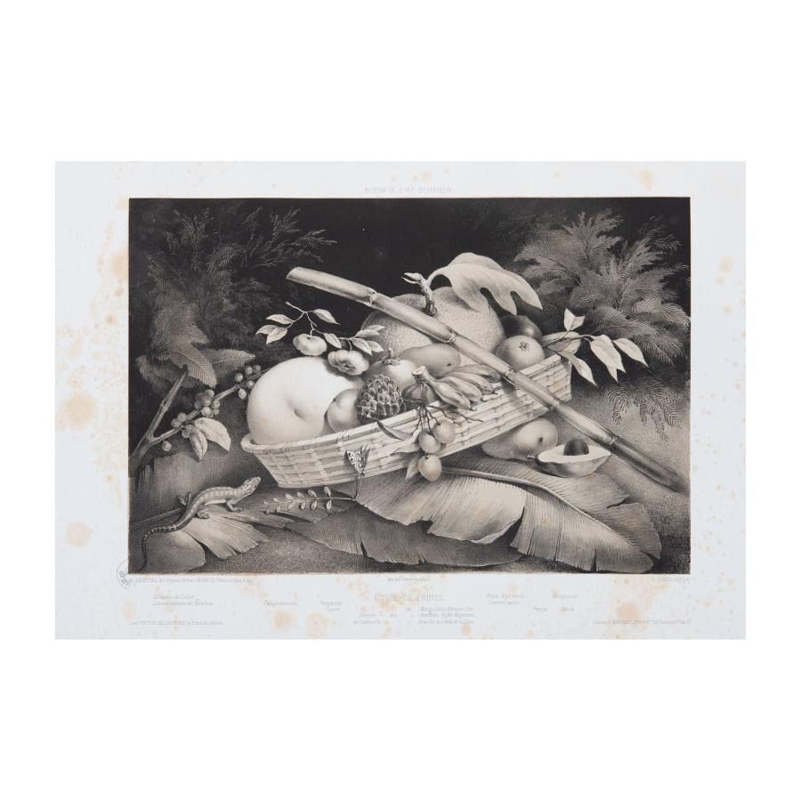 Détail d'une gravure en noir et blanc représentant une nature morte de fruits