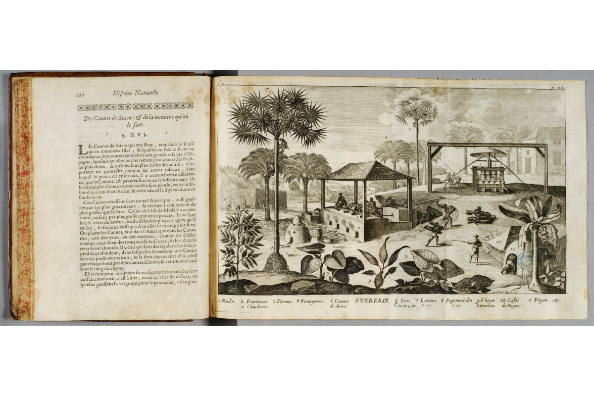 Double page extraite de l'Histoire générale des Antilles habitées par les François par le révérend père du Tertre, ouverte sur une page illustrée