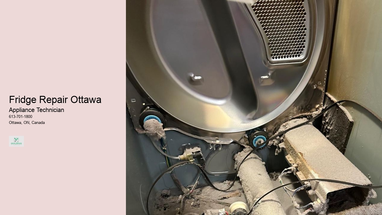 Fridge Repair Ottawa 