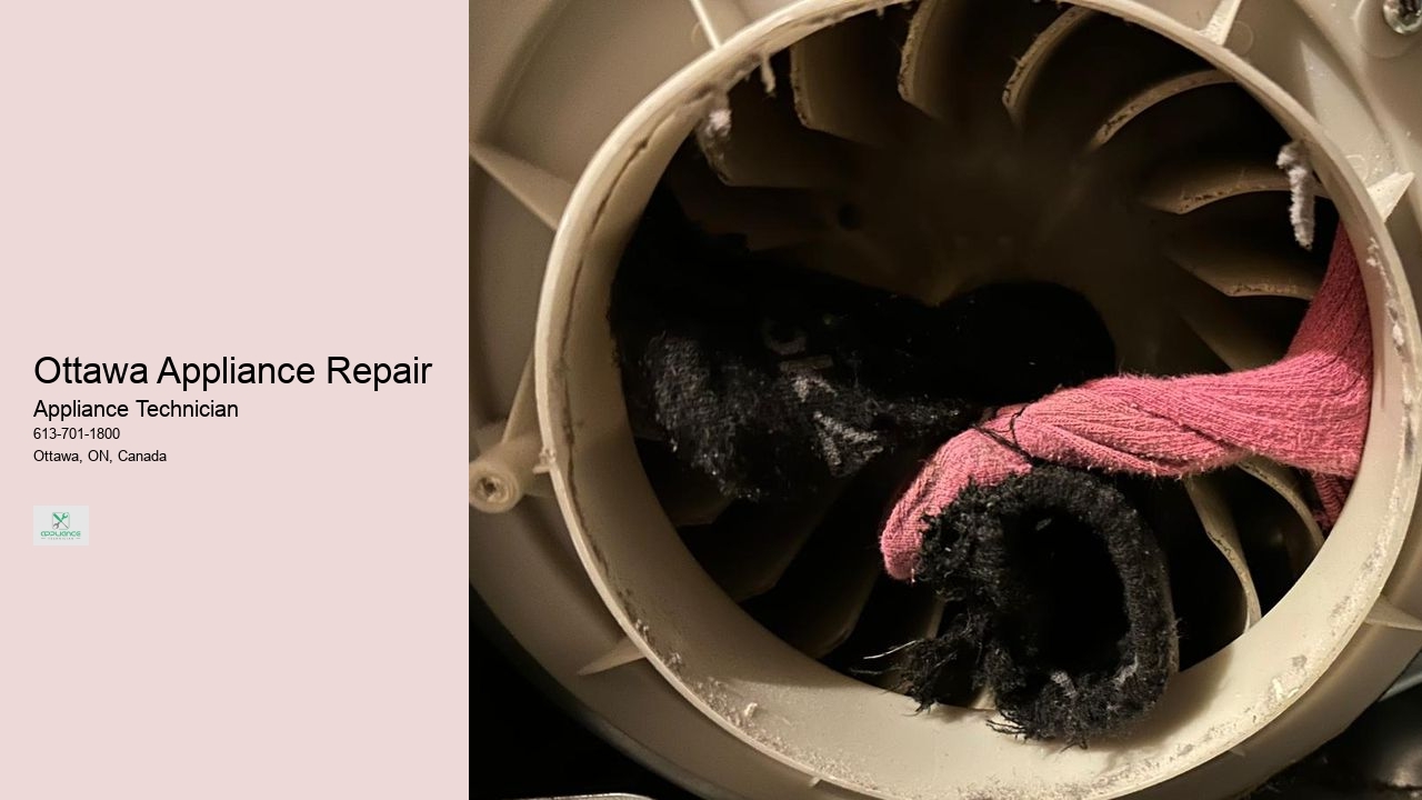Ottawa Appliance Repair 