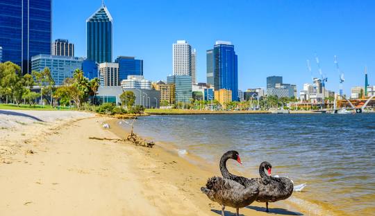 The Birth of the Swan River Colony: Perth’s Historic Beginnings and the Clash of Cultures