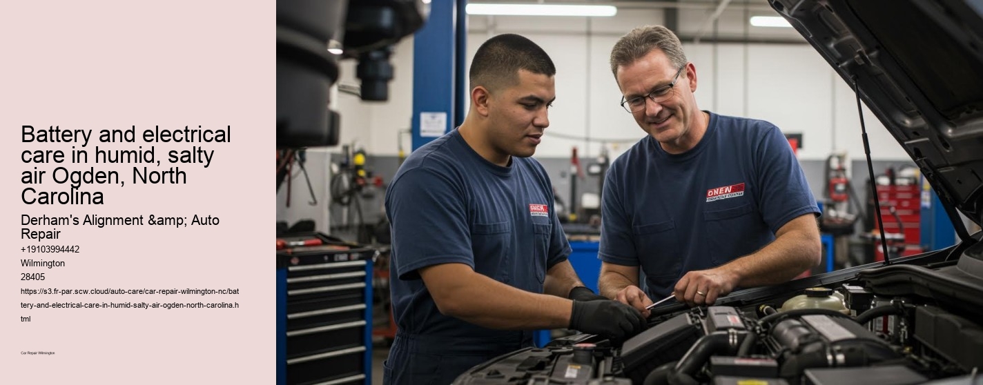 Battery and electrical care in humid, salty air Ogden, North Carolina