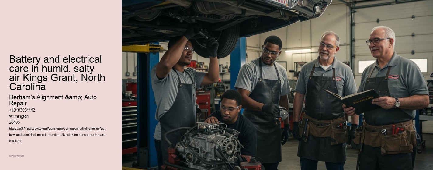Battery and electrical care in humid, salty air Kings Grant, North Carolina