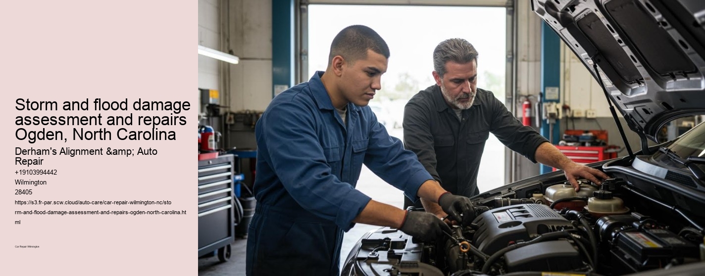Storm and flood damage assessment and repairs Ogden, North Carolina