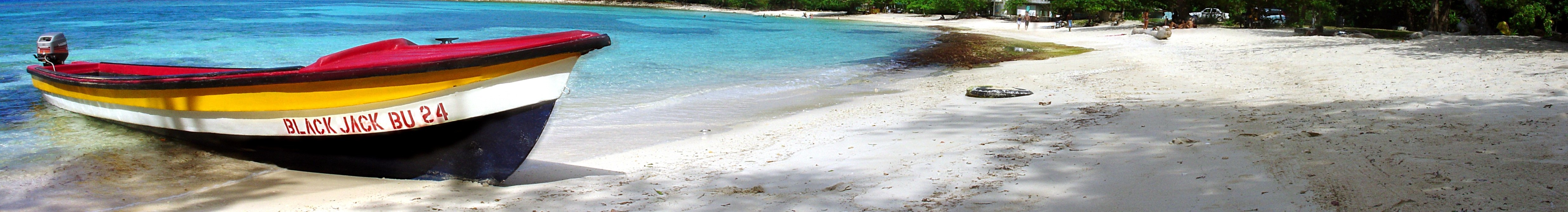 Image de bannière