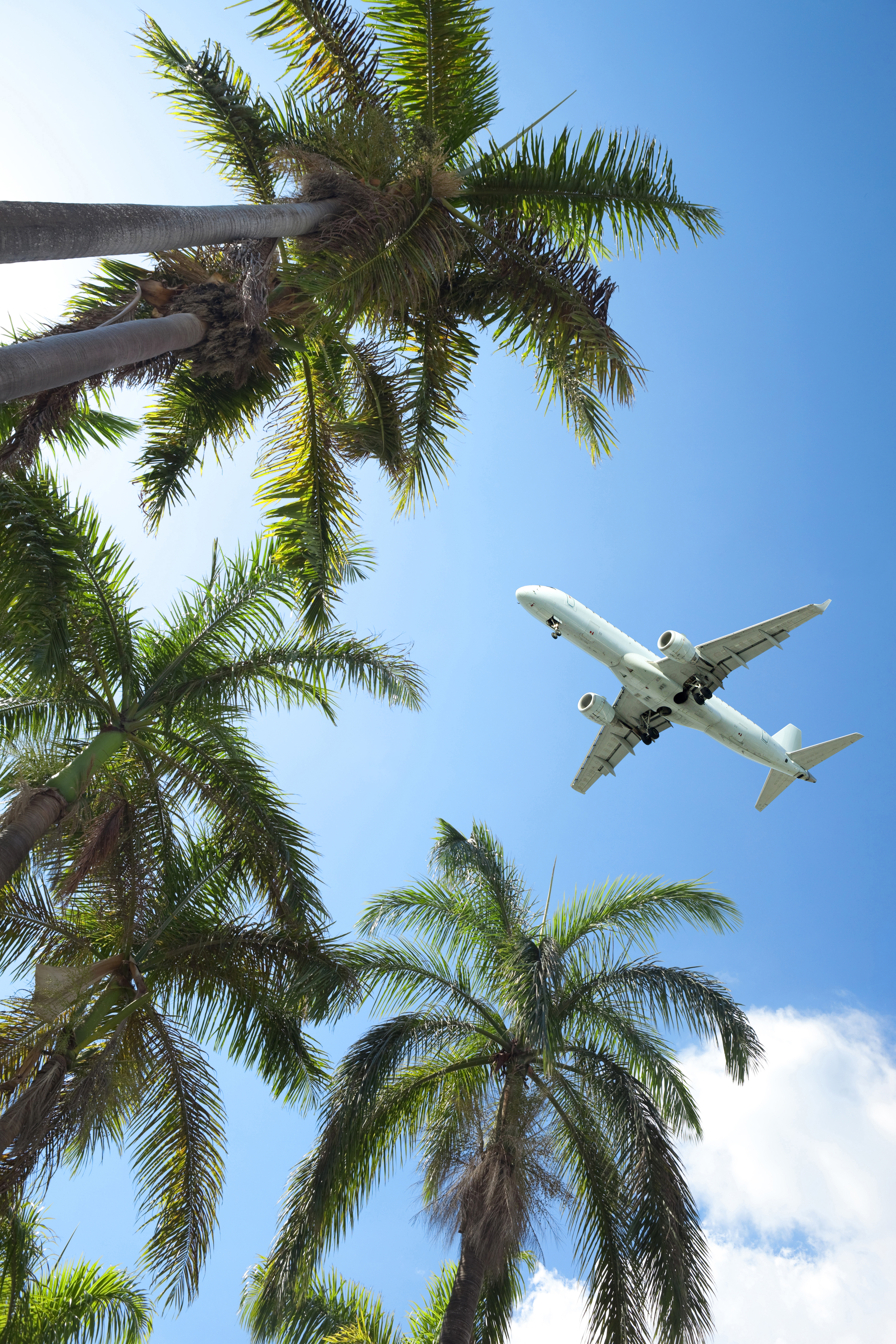 Avion en plein vol 