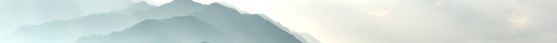 Image de bannière