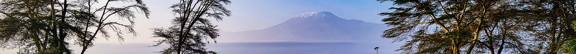 Image de bannière