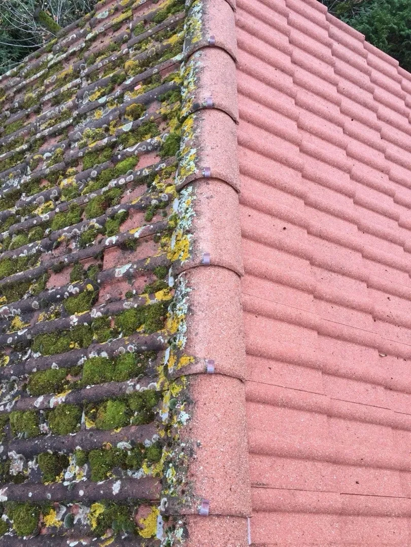 nettoyage démoussage