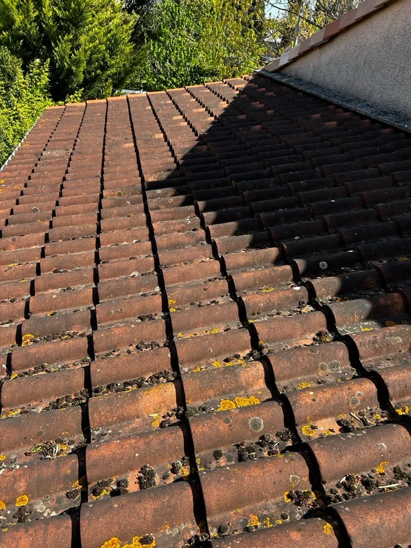 nettoyage de toiture