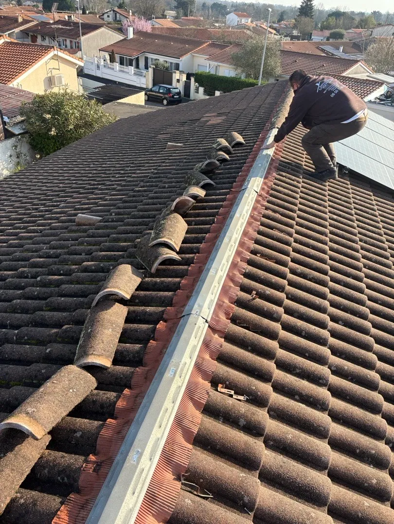 Remplacement de closoirs ventilés et traitement de toiture