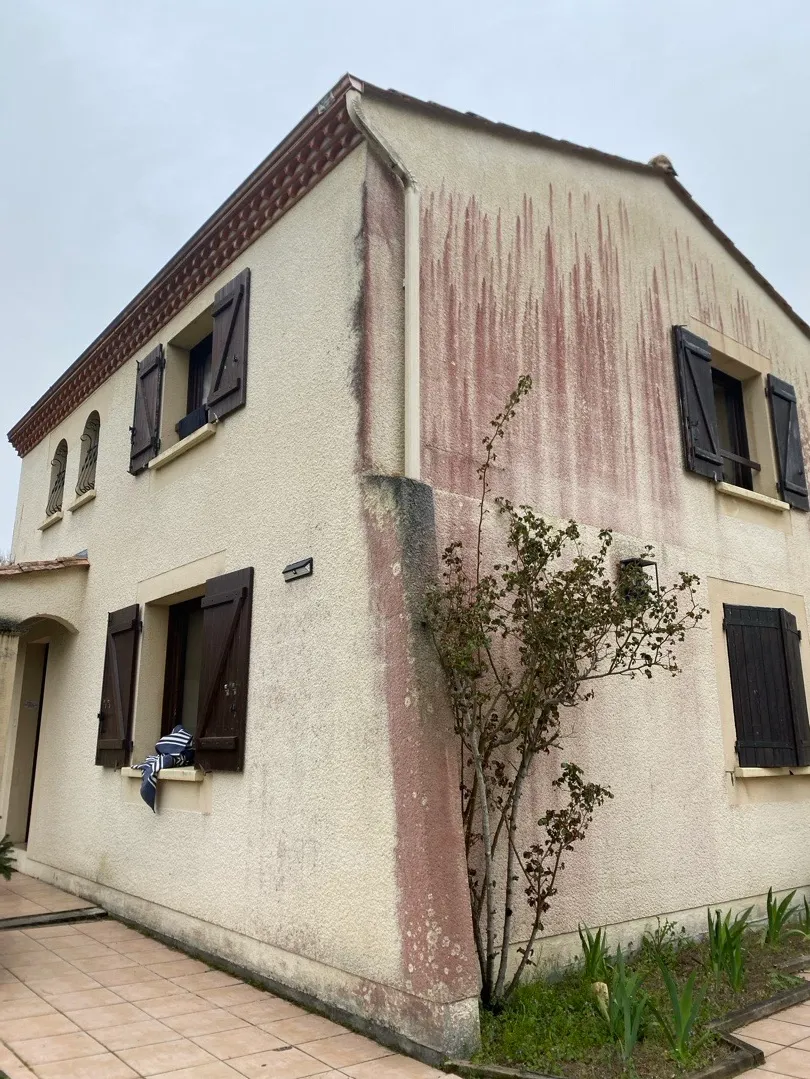démoussage toiture et dépollution algue rouge
