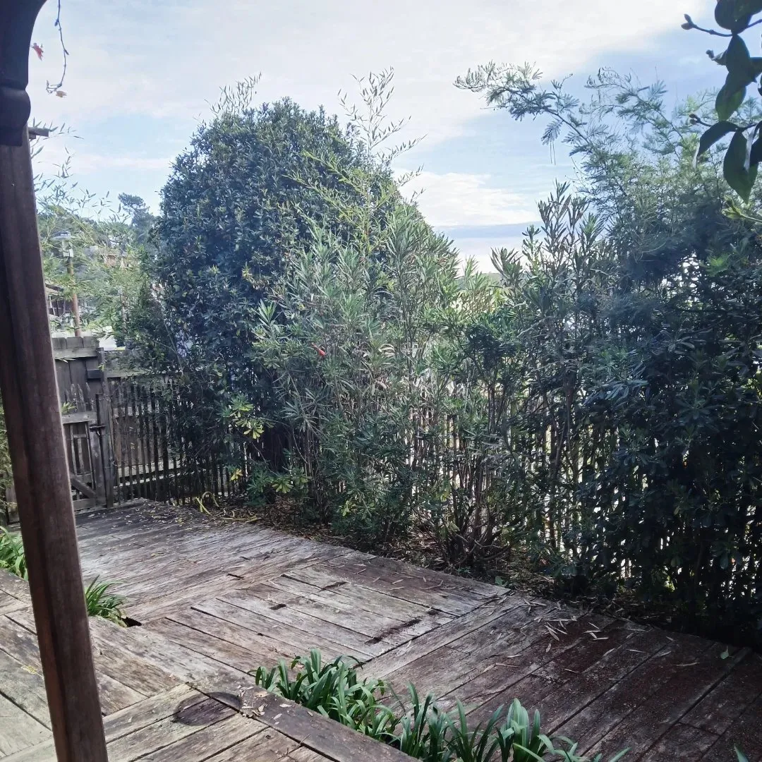 terrasse bois