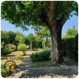 Entretien de jardin